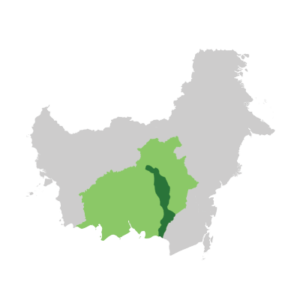 Kabupaten Kapuas